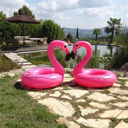 Stunning Guesthouse In Quiet Location Of Umbria Fratta Todina