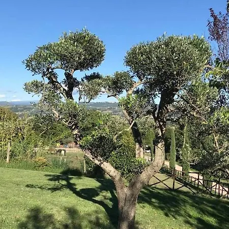 Stunning Guesthouse In Quiet Location Of Umbria Fratta Todina