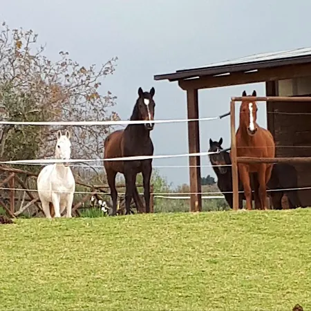 Stunning Guesthouse In Quiet Location Of Umbria Fratta Todina